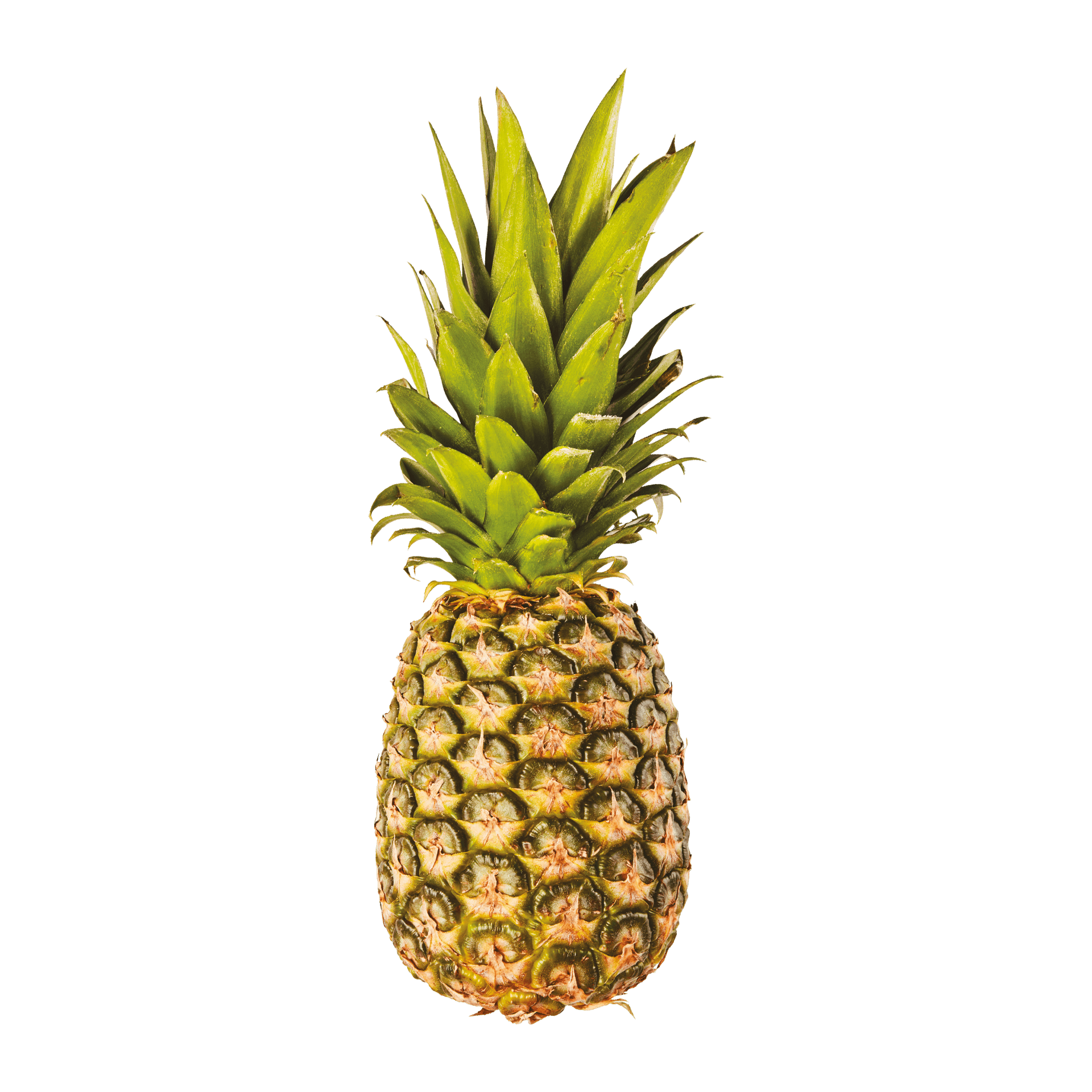 Abacaxi