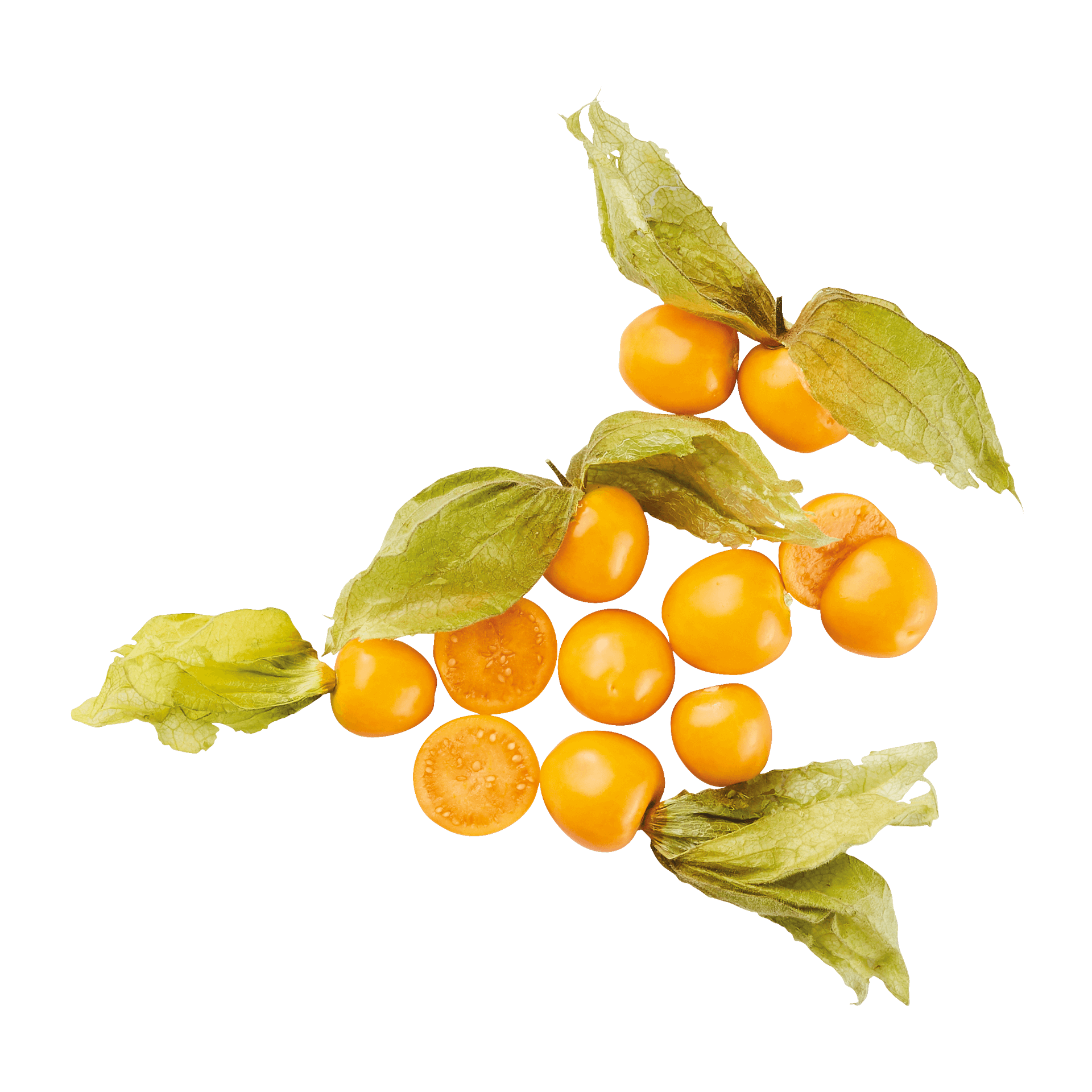 Saqueta de Fruta Maçã Patrulha Pata